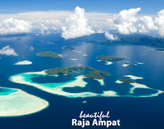 Best diving raja ampat indonesia