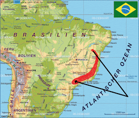 endemic birds Brazil