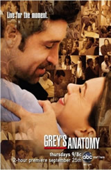Greys Anatomy 8x17 Sub Español Online