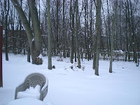 snowy backyard