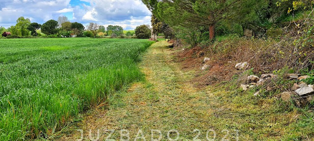 Juzbado, sendas y caminos, Camino de los Bruños, Camino de Santa Lucía