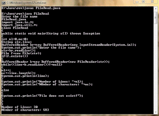 java program to read file