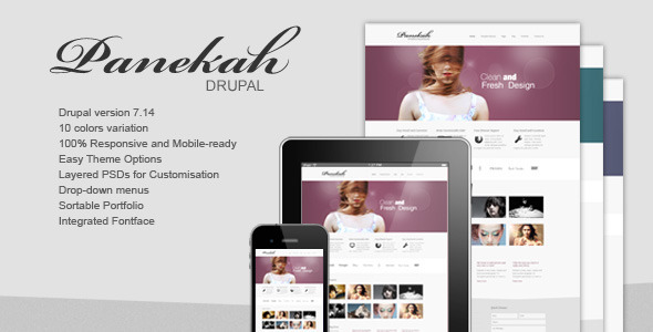 Panekah - Responsive Drupal Theme - Drupal CMS Themes