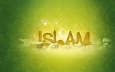 Islam is a Focul