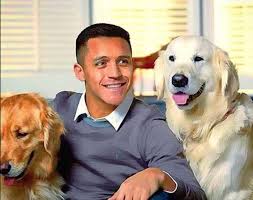 Alexis Sanchez's and His Dogs (Atom & Humber)