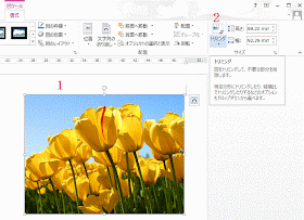 トリミングし図や画像の一部を切り取る