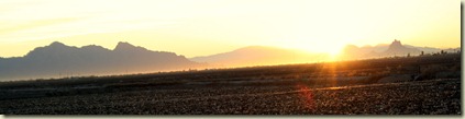 IMG_7024