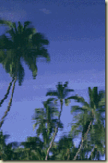 clip_image002