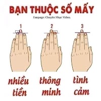 Đo ngón tay - tạo comment