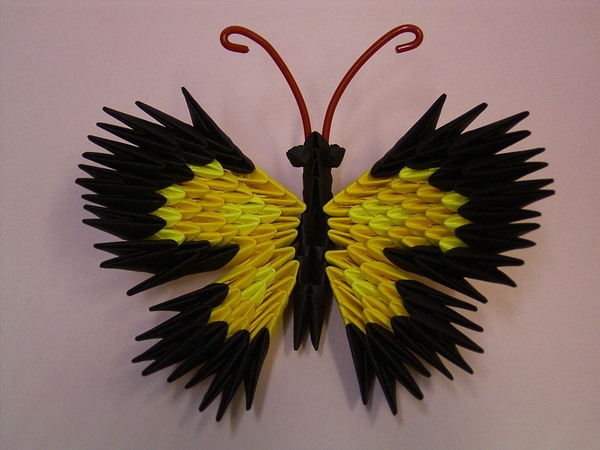 origami butterfly 3d