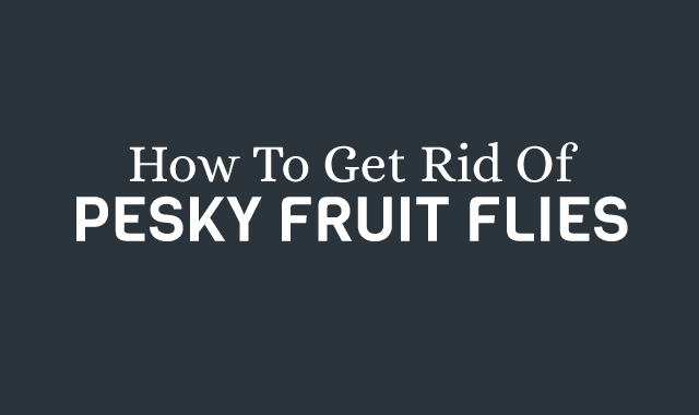 How to Really Get Rid of Pesky Fruit Flies