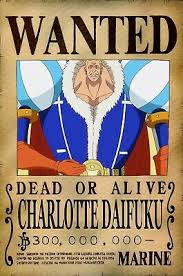 Highest bounty of the one piece