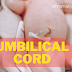  Placenta and umbilical cord....an overview | pharmacyteach