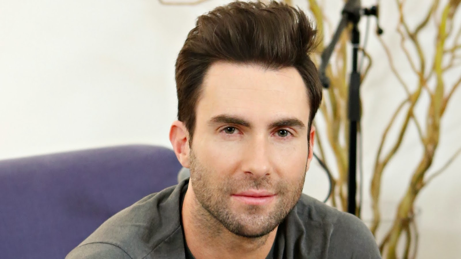 Adam Levine Still, Image, Photo, Picture, Wallpaper