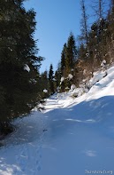 Бескид