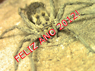  new feliz año 2012 