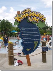 The small childrens pool area