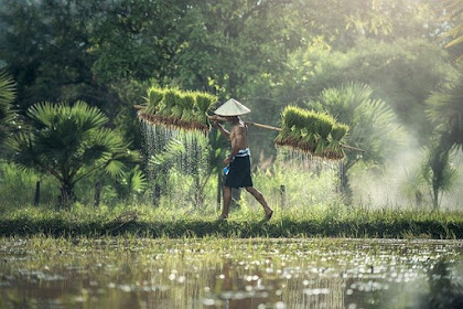 Sikap positif terhadap UUD 1945 hasil amandemen