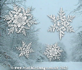 snowflake stamps - Visible Image