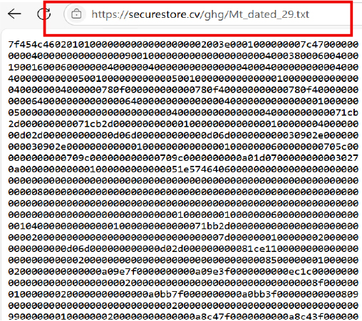 OneFlip Saldırı Backdoor
