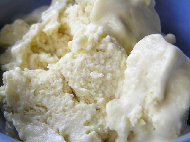 coconut milk vanilla ice cream