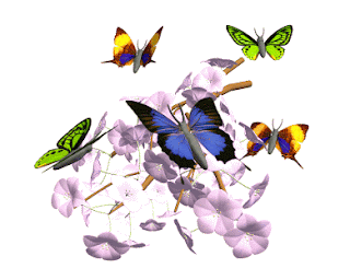 Animated Gifs, Butterflies, part 4