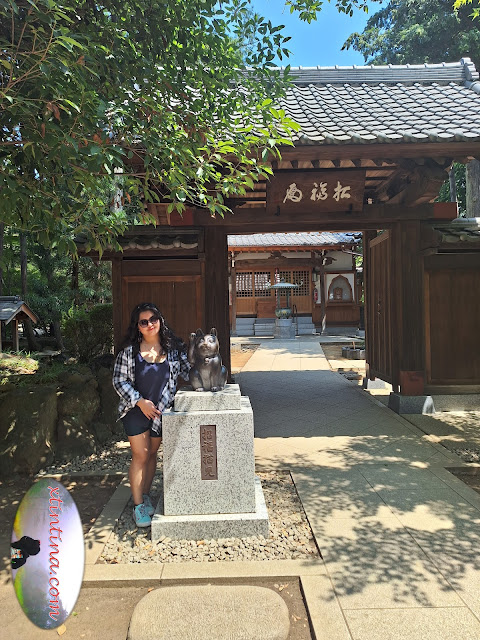 Gotokuji (Lucky Cat) Temple in Setagaya, Tokyo