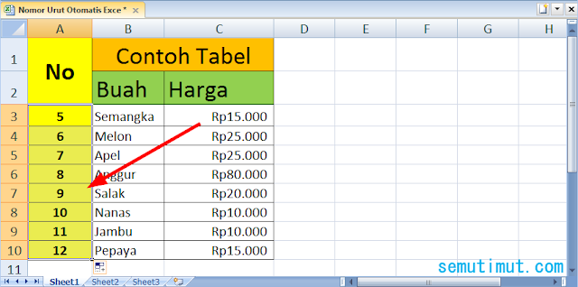 cara membuat angka otomatis excel