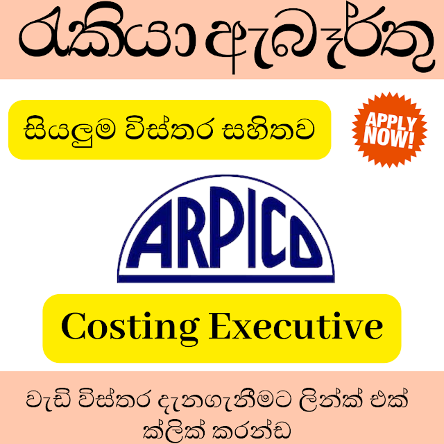  Richard Pieris & Company PLC/Costing Executive