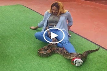 SO SAD!! Tamed Snake Bites An Up-Coming Nollywood Actress On Her B reast, Watch The Shocking V!de0 Of What Happened Next