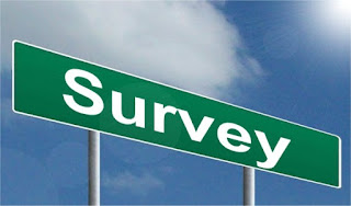 survey ankiety