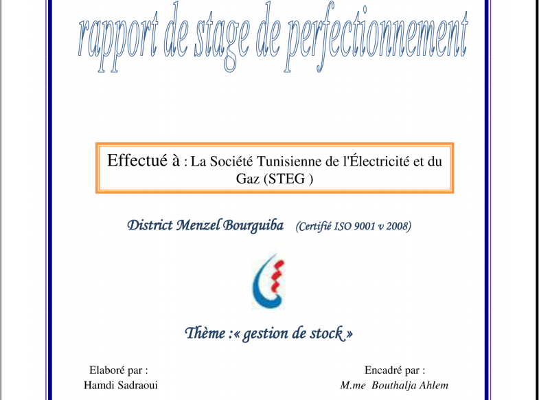 PDF Rapport de stage PFE chez STEG Tunisie ~ StagePFE