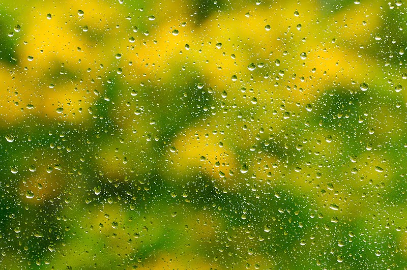 Sügise värvid ja veepiisad aknaklaasil, Fall colors and water drops on window