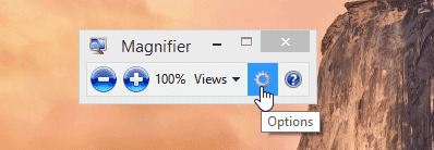 Magnifier setting