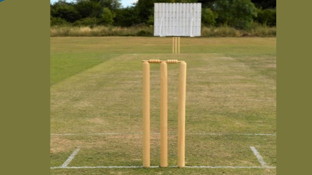 How many Stumps are there in a wicket?