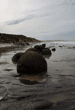 Moeraki Boulders