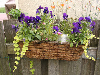 Spring Flowers