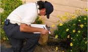 Pest Control Services Prices