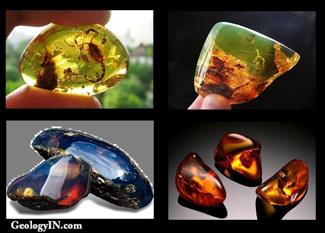 http://www.geologyin.com/2016/05/types-of-amber.html