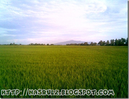 Gunung Jerai dari Kampungku