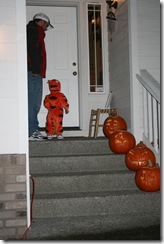 Picture 334