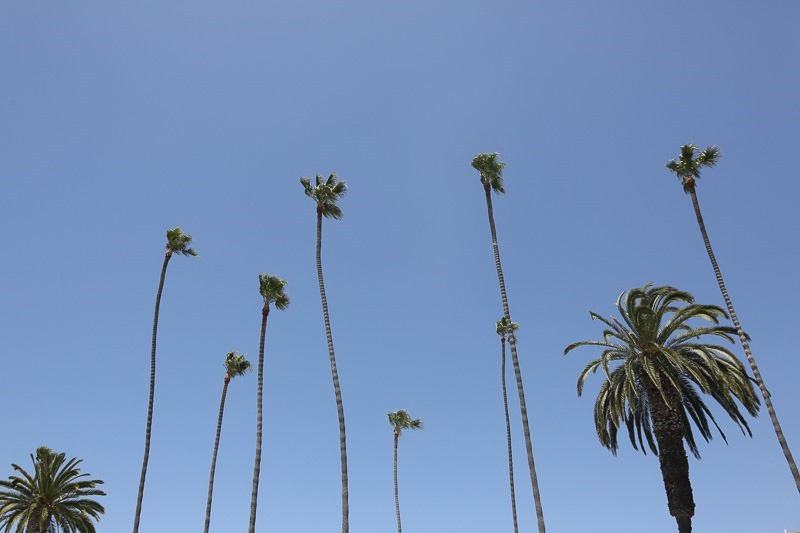 laguna art-5