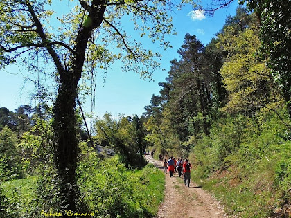 Camí de l'ermita de Sant Roc. Autor: Francesc "Caminaire"