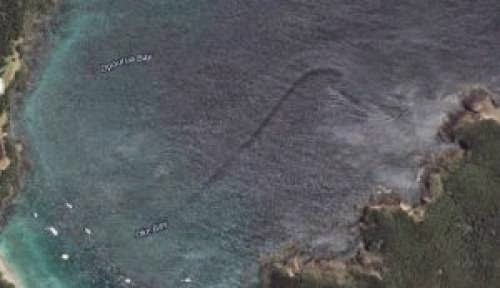 New Zealand Sea Monster Spotted On Google Earth
