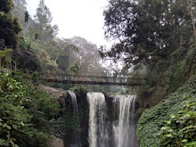 Curug Omas: Air Terjun di Tahura