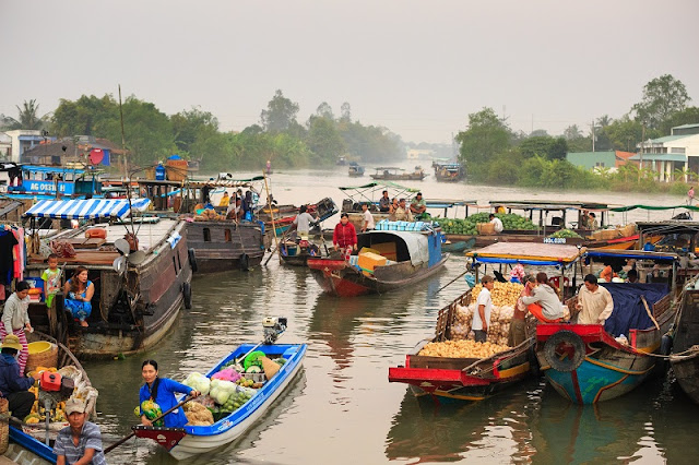 Why the Mekong Delta in Vietnam Is Worth the Visit?