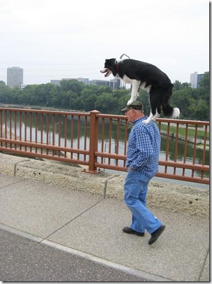 Guy Walking With A Dog On His Head