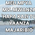 Meli mpya ya MV. Mwanza yaanza majaribio 