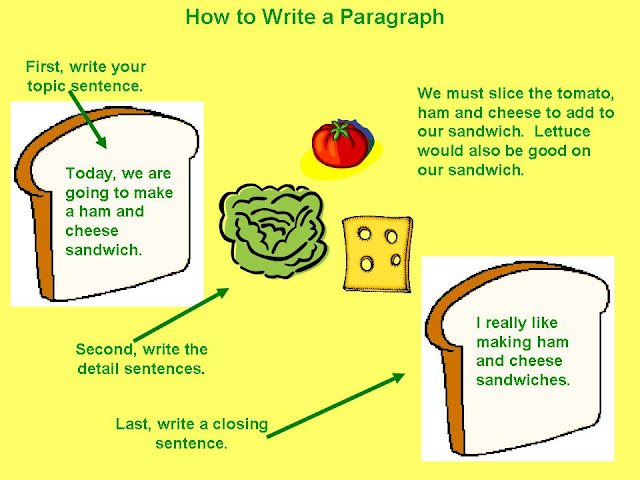 Image result for paragraph elements