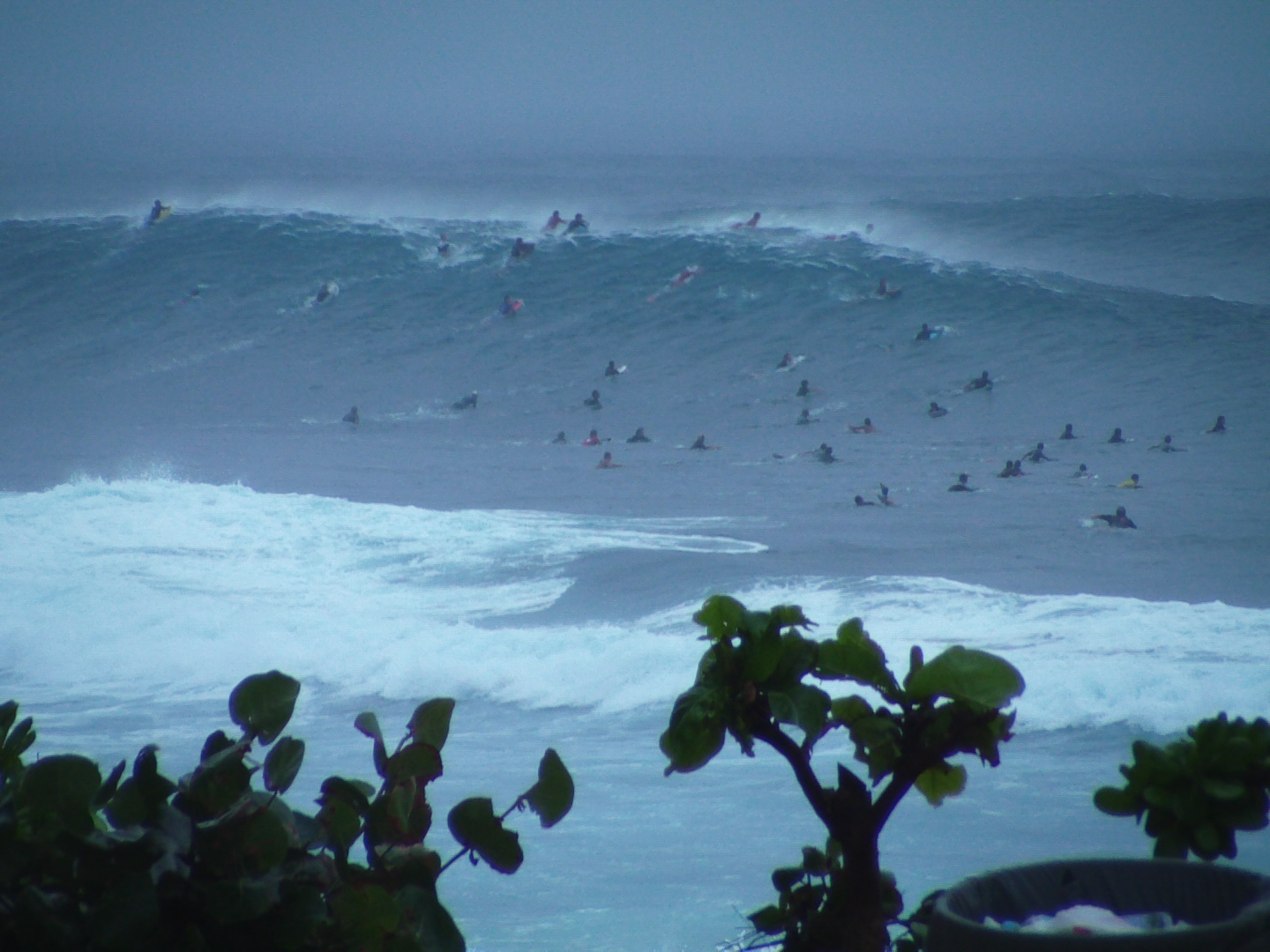 viviendo el SURF: Pipeline x Rui Pereira